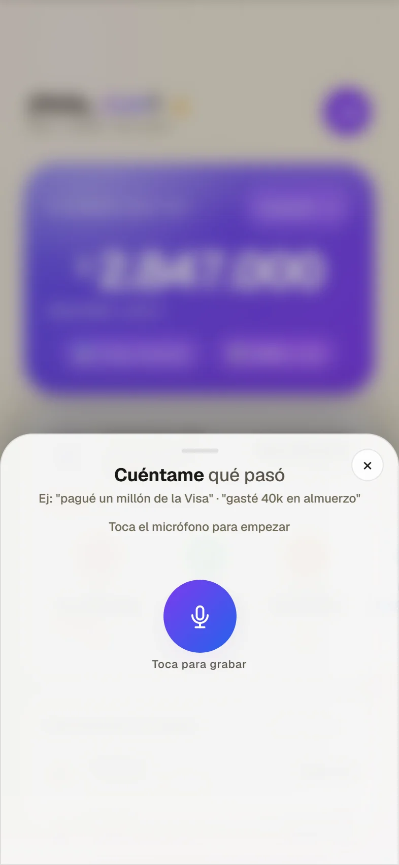 Registro por voz en FinWise