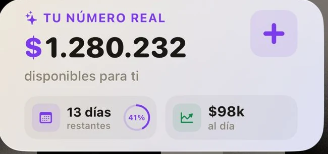 Widget de FinWise en modo claro
